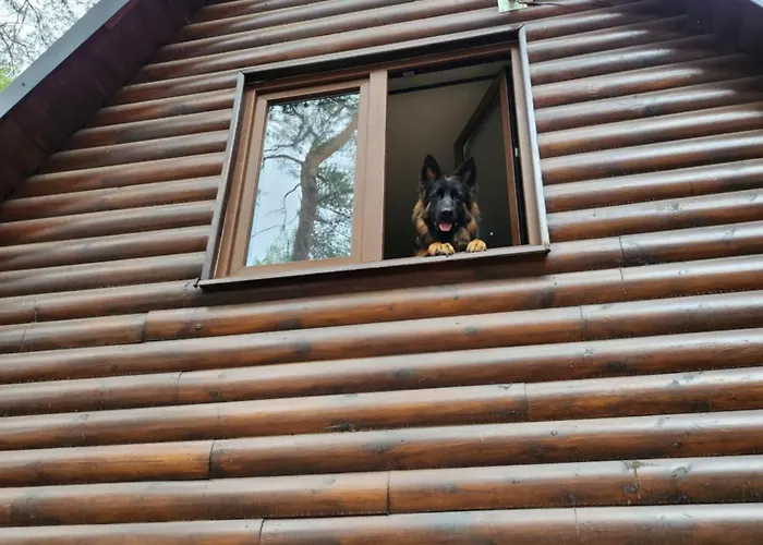 Prázdninový areál Tu Sielsko *