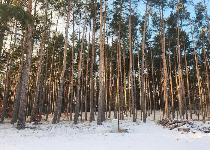 Tu Sielsko Osiek (Pomerania)